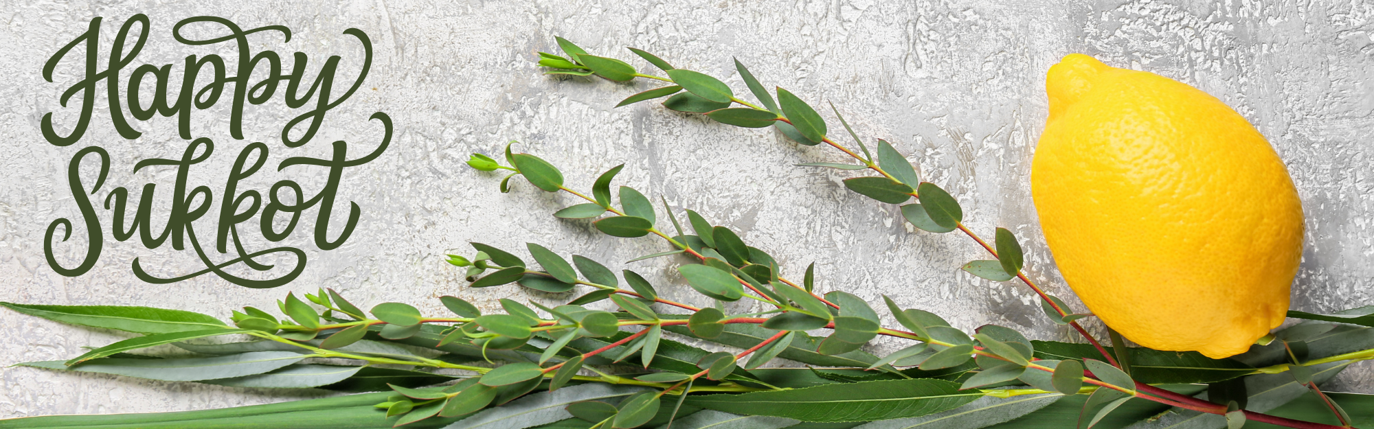 Happy Sukkot